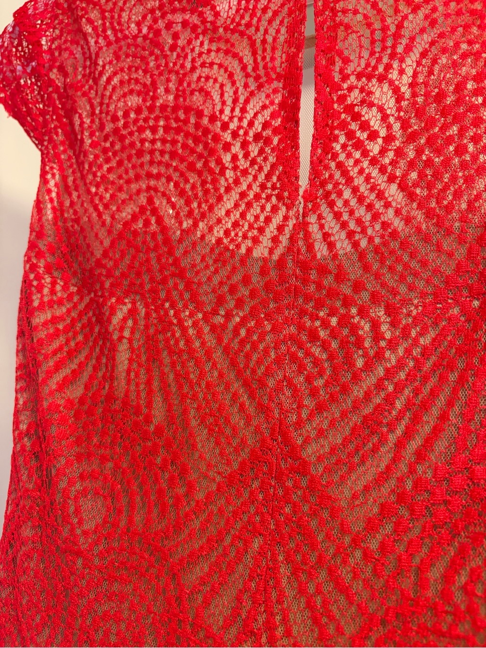 BCBGMaxAzria Red Lace High-Low Party Dress - Picture 4 of 4